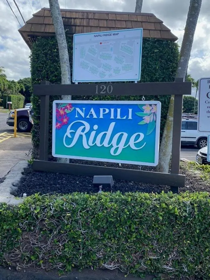 Napili Ridge A2 Villa Kahana 0*,